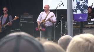 David Wilcox  Bad Apple  LIVE [upl. by Jopa]