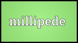 Millipede Meaning [upl. by Aidne]