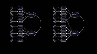 Configural invariance [upl. by Beaner]