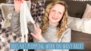 I try net plopping  net plopping on 2a wavy hair [upl. by Akinal]