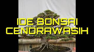 Ide Bonsai Cendrawasih [upl. by Gayn]