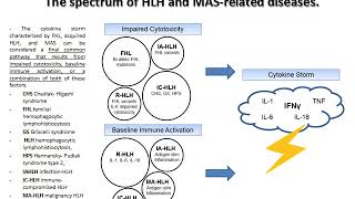 macrophage Activation Syndrom [upl. by Caddric692]