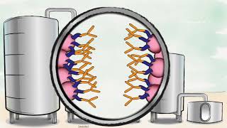 Biopharmaceutical production process [upl. by Simeon4]