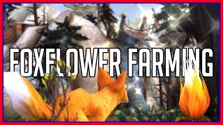 Best Foxflower Farming Tricks and Routes WoW Gold Guide [upl. by Reuben295]