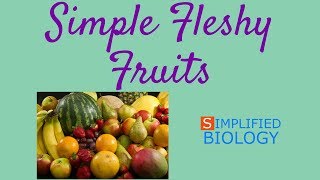 SIMPLE amp FLESHY FRUITS for NEET AIIMS AIPMT JIPMER PREMED [upl. by Nance]