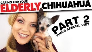 Caring for your aging Chihuahua PART 2 Tinas Diet  Sweetie Pie Pets Elderly Dog Series [upl. by Yraillih]