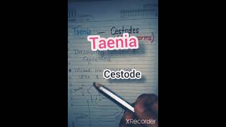 Difference between Taenia saginata and Taenia solium। Taenia saginata vs Taenia solium। Cysticercus [upl. by Alvin]