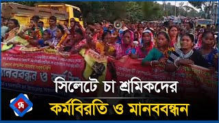 সিলেটে চা শ্রমিকদের কর্মবিরতি ও মানববন্ধন  Tea Worker Protest  Sylhet  Rupali Bangladesh [upl. by Nerrad]