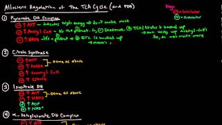 TCA  Krebs  Citric Acid Cycle Part 3 of 3  Allosteric Regulation [upl. by Oad503]