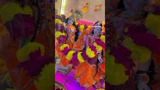 बिहारी पंचमी की हार्दिक बधाई 🎀🧿❤️🎀 radheykrishana dance viralvideo love krishnabhajan [upl. by Alegnaed]