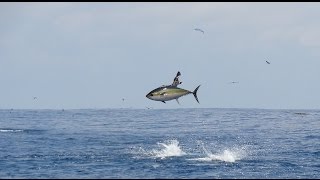 Atun Y Pez Vela pesca deportiva en Puerto Vallarta Mexico [upl. by Nairde303]