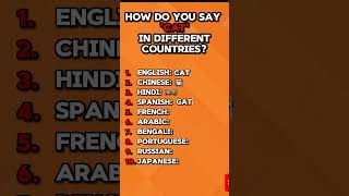 How do you say CAT in DIFFERENT COUNTRIES cat languages [upl. by Haden]