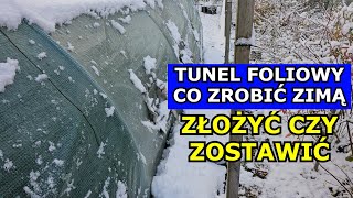 Tunel foliowy ZIMĄ  Zostawić czy Złożyć Plusy i Minusy każdego rozwiązania [upl. by Yadrahc668]