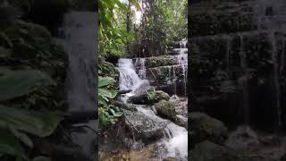 Aguas del Putumayo Aguas que sanan ayahuascahealing putumayo nature ayahuascaretreat [upl. by Gnak]