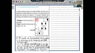 svtlheredité humainetransmission dune maladie liée a X dominante [upl. by Eugenio]