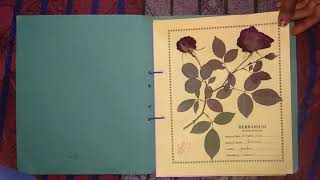 Herbarium File 2019 by Laxmi modanwal [upl. by Supen]