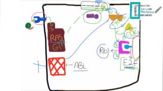 Molecular Basis of Carcinogenesis [upl. by Hall]