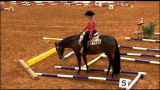 2010 AQHA World Show  Tina Freeland  Boston Aggravation [upl. by Anaerb]