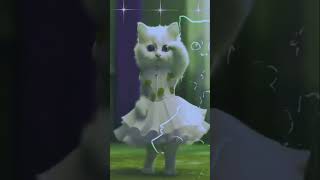 Cats Cant Stop Dancingcat dance cat funny videos hip cat moves [upl. by Nreval]