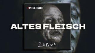 Till Lindemann  ALTES FLEISCH Lyrics SUB ITA [upl. by Nilahs]