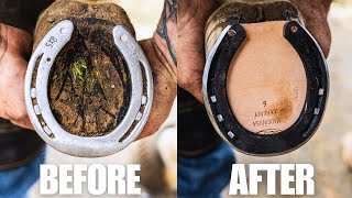 Satisfying Farrier Hoof Restoration ASMR [upl. by Woodsum27]