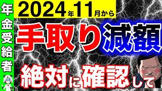 【2024年11月から】手取りが減額！絶対に確認して！法改正で天引き額が悲惨なことに！ [upl. by Eldridge]