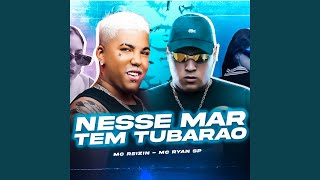 Nesse Mar Tem Tubarão [upl. by Dorsey]