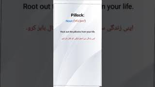 Pillock meaning pillock sentence English vocabulary [upl. by Pauletta]