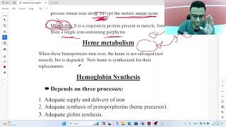 Hemoglobin synthesis and metabolism  Biochemistry of Hematology [upl. by Assyral]