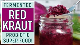 FERMENTED RED CABBAGE SAUERKRAUT  The Best Beginner Friendly Sauerkraut Video Out There [upl. by Madox923]