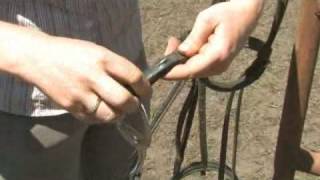 How to Attach a Snaffle Bit [upl. by Lodie]