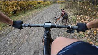 ICF World Championship Bardonecchia 2024 │Mixed man relay │Winning bikejoring ride with Jet [upl. by Westney]