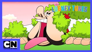 Noile Looney Tunes  Bugs Bunny și uriașul  Cartoon Network [upl. by Enihpled]