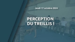 Perception du treillis [upl. by Dayle]