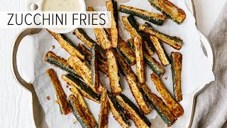 ZUCCHINI FRIES  glutenfree lowcarb keto [upl. by Wadesworth746]