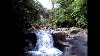 Chute du Carbet  Guadeloupe [upl. by Durstin]