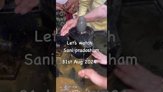 Sani pradosham Pooja on 31082024pradoshamhindurituals divinityreelsshorts [upl. by Ginsburg]