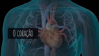 Doenças que atingem o sistema cardiovascular  Parte 1 [upl. by Kilby693]