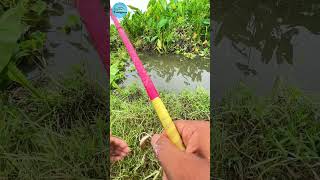 Yummy😋 Big Fish Catch Part03। fishing fishingvideo hookfishing fishbait uniquehookfishing [upl. by Olsewski]