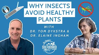 Why Insects Avoid Healthy Plants with Dr Tom Dykstra and Dr Elaine Ingham [upl. by Thunell]