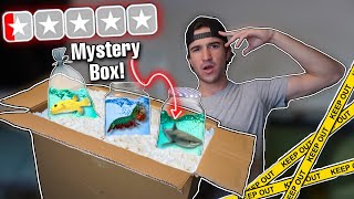 DONT BUY THIS LIVE FISH MYSTERY BOX ONLINE [upl. by Lindell]