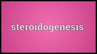 Steroidogenesis Meaning [upl. by Ynahpets827]