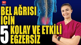 BEL AĞRISI İÇİN 5 KOLAY EGZERSİZ Bel fıtığı Bel düzleşmesi için [upl. by Aneelak]