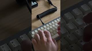 Clicky to Silent Mechanical keyboard [upl. by Flore611]