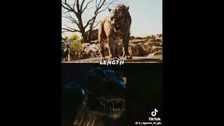 DEATH BATTLE 11 Season Shere Khan VS indoraptor The Jungle Book VS Jurassic World [upl. by Katee]