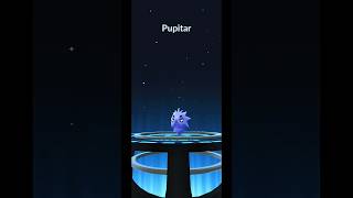 Larvitar Evolves to Pupitar in Pokemon GO PokemonGO Larvitar Pupitar [upl. by Dorcia]