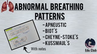 Abnormal Breathing Patterns  Respiratory Physiology [upl. by Yusuk]