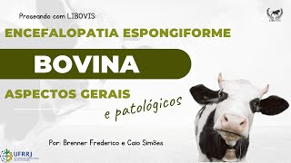 PROSEANDO COM LIBOVIS ENCEFALOPATIA ESPONGIFORME BOVINA [upl. by Artemas]