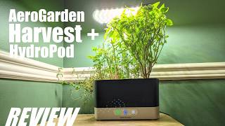 REVIEW AeroGarden Harvest Smart Indoor Hydroponics Growing System  Herb Garden in 1 Month [upl. by Romeon]