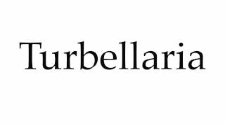 How to Pronounce Turbellaria [upl. by Ahseiyn750]